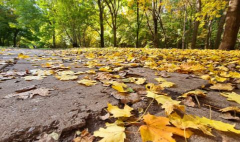 vremeto-dnes-prognoza-za-nedela-12-noemvri-opasno-vetrovito-na-severoiztok-zapochvat-valeji-ot-ugozapad-1