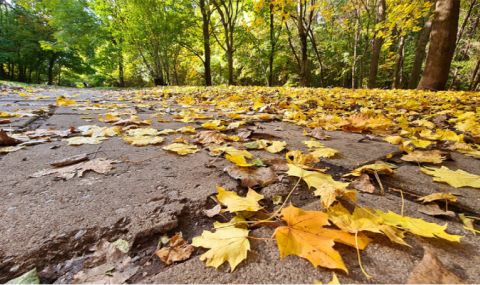 vremeto-dnes-prognoza-za-srada-1-noemvri-oblachnostta-namalava-do-slanchevo-no-ostava-vetrovito-1