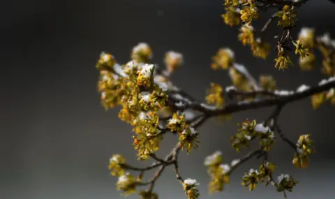 vremeto-dnes-prognoza-za-chetvartak-11-anuari-leko-pokachvane-na-temperaturite-1