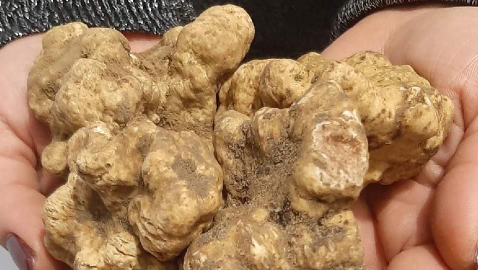 10-1_7897197460730149629_big