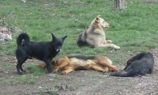 0000334868-article2_7016217916496037657_big