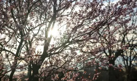 vremeto-dnes-prognoza-za-sabota-23-mart-slanchevo-bezoblachno-i-toplo-1