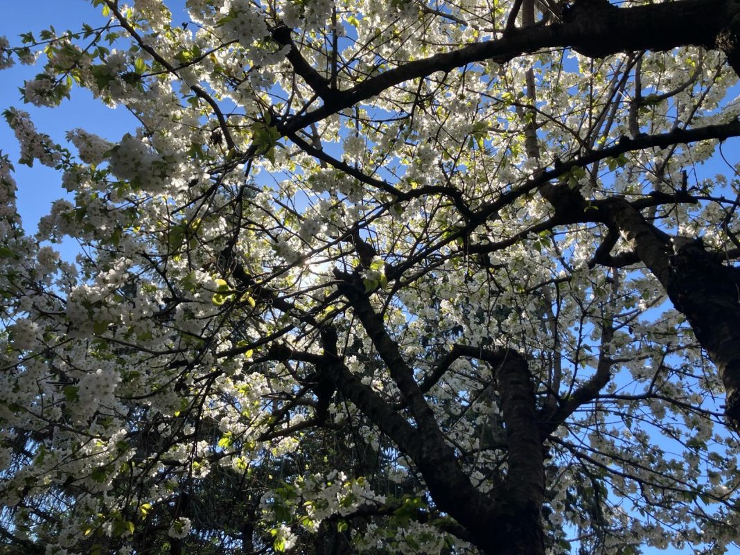 651a008d-d34a-447e-ac5a-fbe9cc90f904