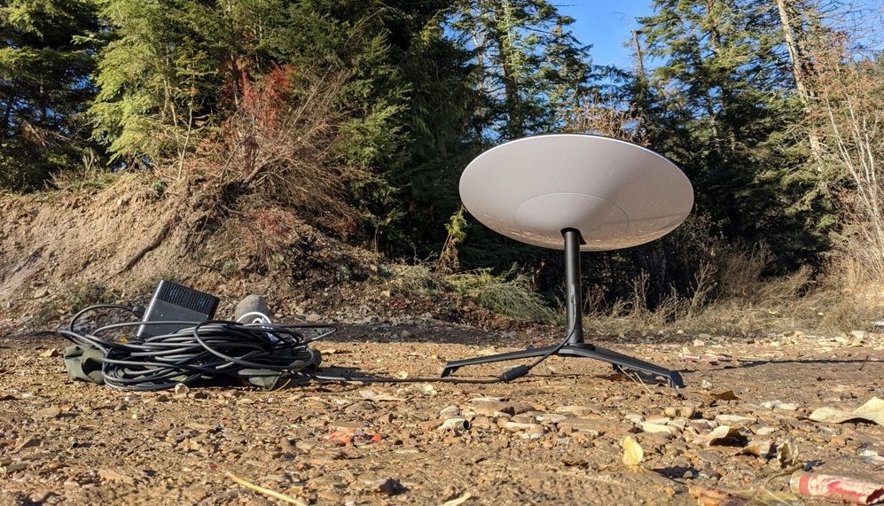 starlink-forest-1_5555263787578931894_big