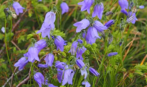 vremeto-dnes-prognoza-za-ponedelnik-22-april-temperaturite-padat-shte-vali-1