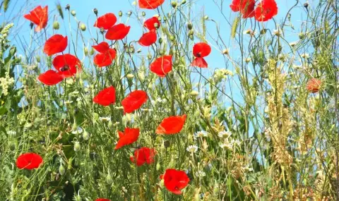 vremeto-dnes-prognoza-za-vtornik-16-april-oblachnostta-se-uvelichava-ot-zapad-1