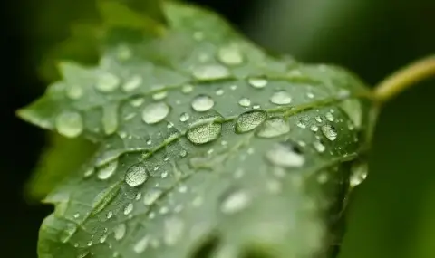 vremeto-dnes-prognoza-za-petak-17-mai-prevalavania-na-otdelni-mesta-oblachnostta-se-razkasva-1