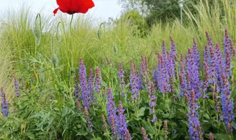 vremeto-dnes-prognoza-za-nedela-2-uni-slanchevo-dajd-s-gramotevici-na-iztok-i-v-planinite-1