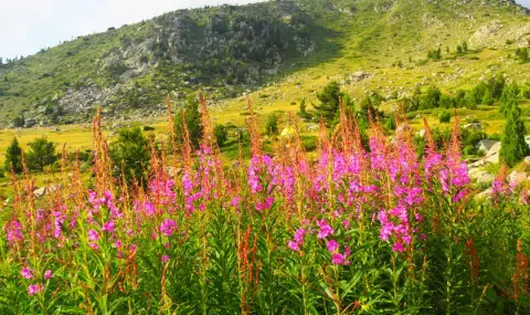 vremeto-dnes-prognoza-za-nedela-30-uni-ostava-slanchevo-temperaturite-skachat-oshte-1