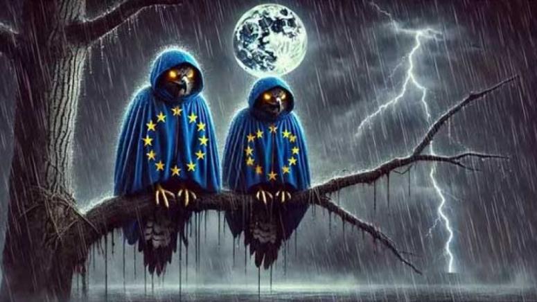 x240629062551-775x436.jpg.pagespeed.ic.zk0HfURgKT