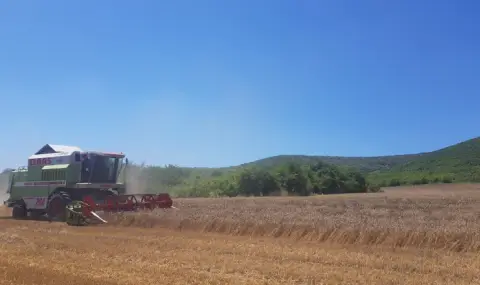 zemedelskiat-ministar-otkriva-jatvenata-kampania-ot-zlatitrap-1