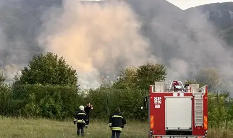 pojar-izbuhna-v-podnojieto-na-vitosha-1