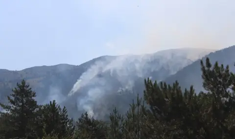 pojarat-v-garcia-zasegna-60-dekara-ot-rezervata-ali-botush-u-nas-1