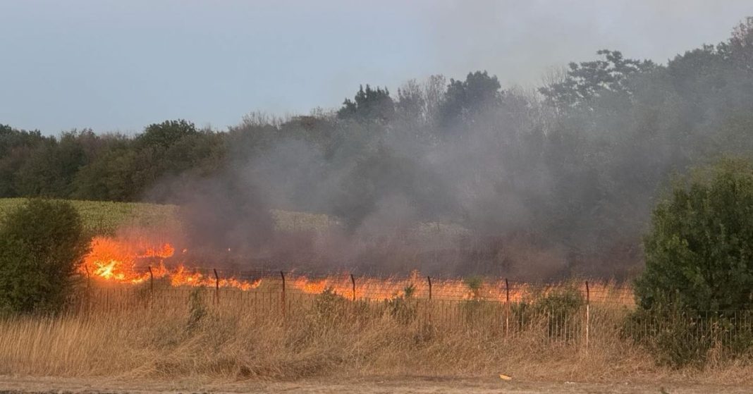 451589459_1033878025406978_8436148893460036058_n_7407830249949766784_big