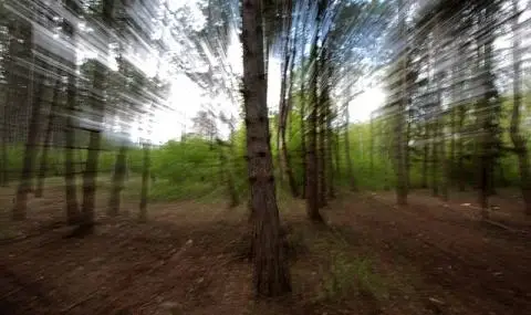 masovo-izsahvane-na-darveta-v-ruse-1