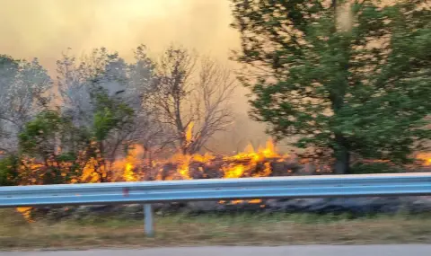 pojar-plamna-i-v-kresnenskoto-defile-1