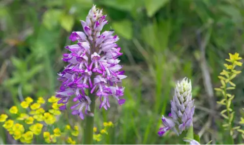 vremeto-dnes-prognoza-za-ponedelnik-2-septemvri-slanchevo-nachalo-na-sedmicata-1