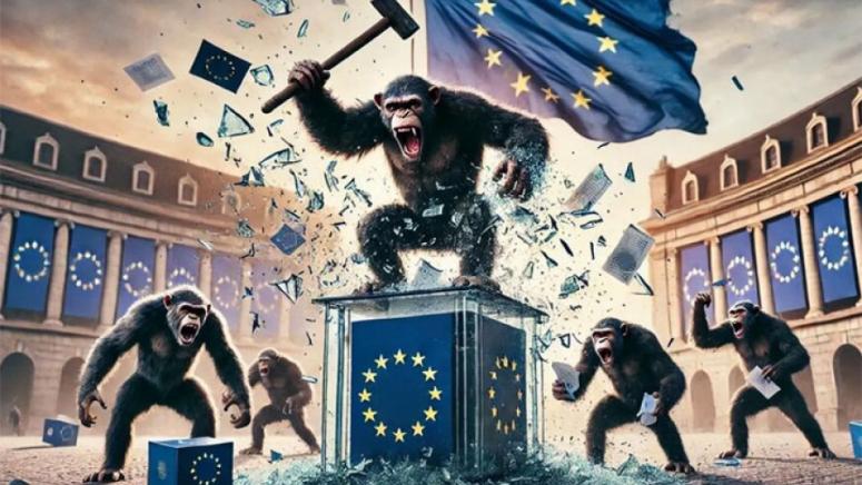 x240910053654-775x436.jpg.pagespeed.ic.rCL1Y4cAuX