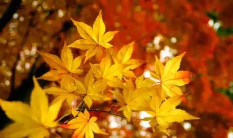 vremeto-dnes-prognoza-za-chetvartak-31-oktomvri-slanchevo-vetrovito-temperaturite-se-vdigat-1