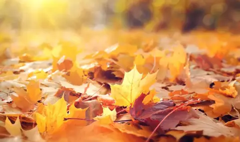 vremeto-dnes-prognoza-za-ponedelnik-28-oktomvri-slanchevo-shte-duha-slab-do-umeren-vatar-ot-zapad-severozapad-1