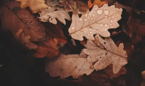 vremeto-dnes-prognoza-za-petak-15-noemvri-oblachnostta-namalava-do-slanchevo-na-severozapad-1