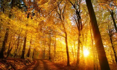 vremeto-dnes-prognoza-za-ponedelnik-18-noemvri-slanchevo-na-moreto-i-v-planinite-vetrovito-v-ravninite-1