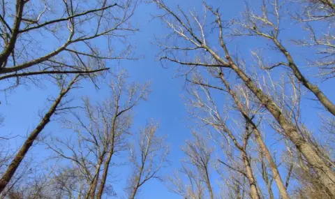 vremeto-dnes-prognoza-za-ponedelnik-30-dekemvri-slance-nad-calata-strana-1