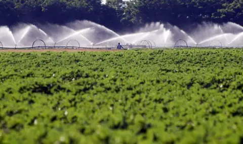 kabinetat-glavchev-e-izgotvil-strategia-za-modernizirane-na-napoitelnite-sistemi-1