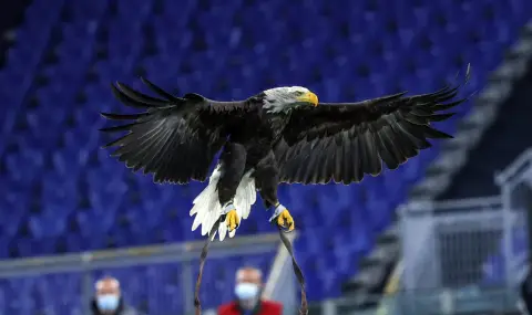 skandal-v-lacio-klubat-uvolni-orelara-koito-si-pokaza-chlena-v-socialnite-mreji-snimka-1