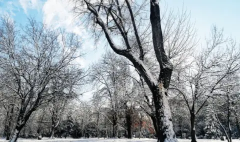 vremeto-dnes-prognoza-za-chetvartak-16-anuari-oblachnostta-shte-se-razkasva-i-namalava-1