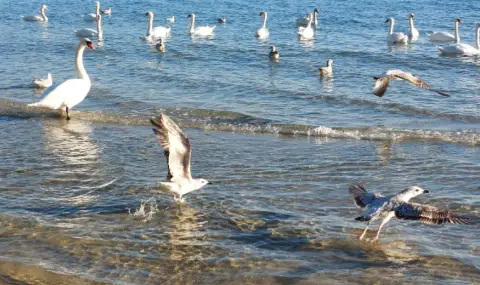 vremeto-dnes-prognoza-za-nedela-19-anuari-predimno-slanchevo-sutreshni-magli-v-kotlovinite-1