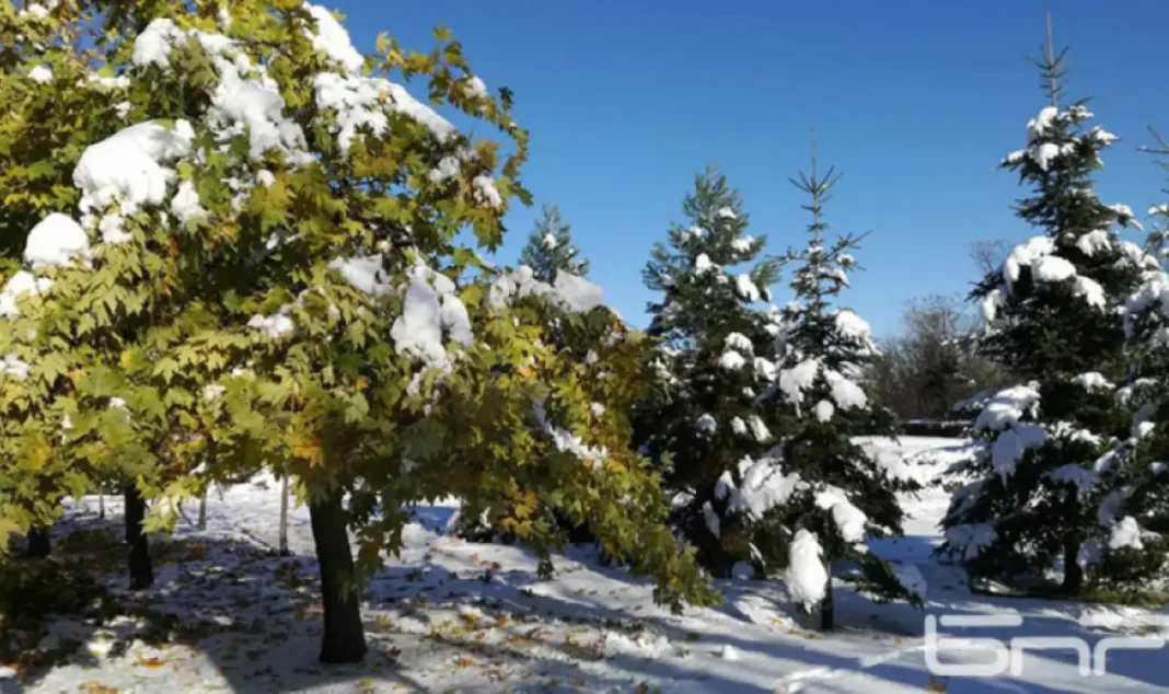 vremeto-dnes-prognoza-za-petak-17-anuari-predimno-slanchevo-slabo-zatoplane-1