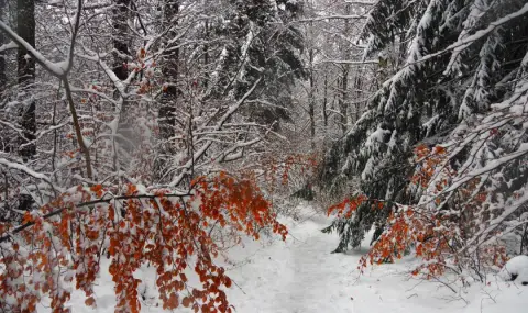 vremeto-dnes-prognoza-za-sabota-4-anuari-slanchevo-i-pochti-tiho-1