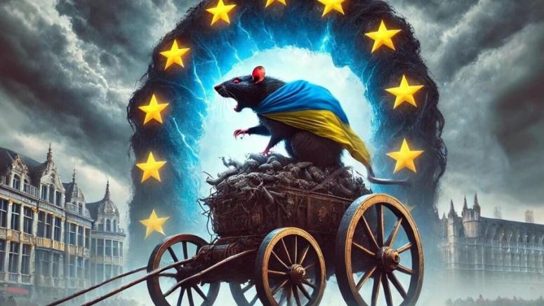 x250112053602-775x436.jpg.pagespeed.ic.DF9BBUIU_I