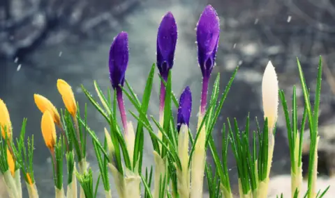 vremeto-dnes-prognoza-za-sabota-15-fevruari-oblachno-pochti-bez-valeji-1