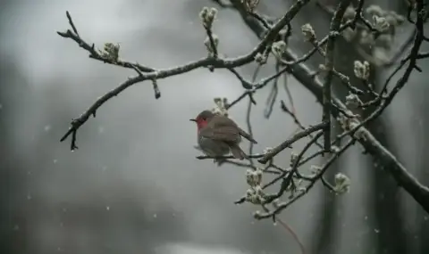 vremeto-dnes-prognoza-za-ponedelnik-17-mart-nahluva-oshte-po-studen-vazduh-1