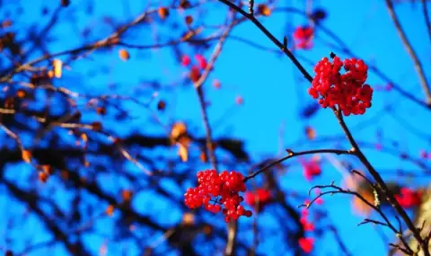 vremeto-dnes-prognoza-za-srada-5-mart-slanchevo-i-po-toplo-1