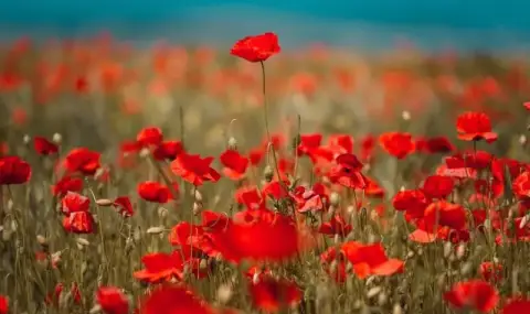 vremeto-dnes-prognoza-za-chetvartak-29-mai-predi-obad-shte-zapochne-da-se-razviva-kupesto-dajdovna-oblachnost-1