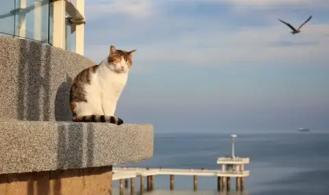 vremeto-dnes-prognoza-za-petak-16-mai-predimno-slanchevo-kupesti-oblaci-nad-planinite-sledobed-1