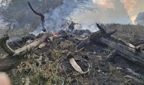 dajd-pomaga-za-gaseneto-na-pojara-v-rila-1