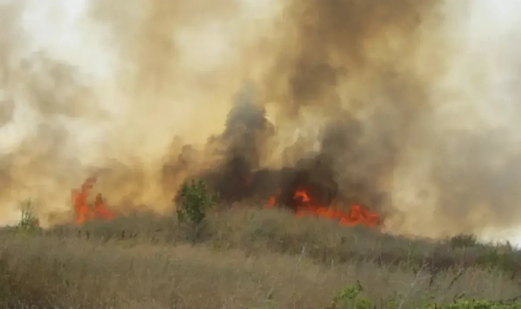 pojarat-krai-sungurlare-izpepeli-nad-10-000-dekara-gori-i-loza-1