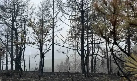 pojarat-v-pirin-ne-stihva-peti-den-prodaljava-borbata-s-ogana-v-sungurlare-1