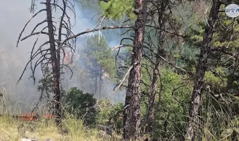 prodaljavat-obhodite-za-tleeshti-ognishta-sled-pojara-v-pirin-1