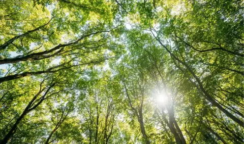 vremeto-dnes-prognoza-za-srada-27-avgust-slanchevo-sas-slab-do-umeren-iztochen-vatar-1