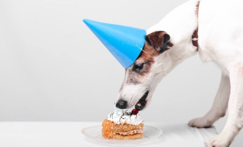 bb36218be00c9b900c8f88df307ccd4d