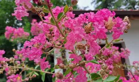 vremeto-dnes-prognoza-za-nedela-7-septemvri-slanchevo-s-vremenni-zaoblachavania-no-pochti-bez-valeji-1