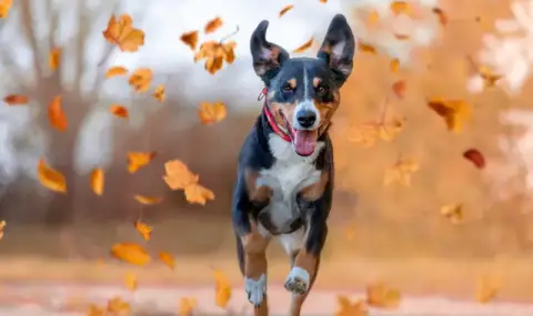 vremeto-dnes-prognoza-za-chetvartak-6-noemvri-ostava-oblachno-s-prevalavania-1