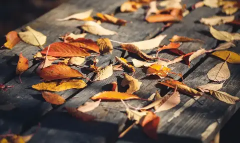 vremeto-dnes-prognoza-za-ponedelnik-5-anuari-oblachno-nachalo-na-parvata-rabotna-sedmica-na-mesta-shte-prevalava-1