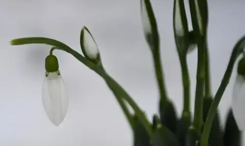 vremeto-dnes-prognoza-za-srada-21-anuari-oblachno-snegovaleji-v-ujna-balgaria-i-centralnia-balkan-1