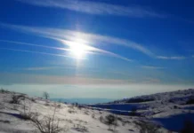 Времето днес